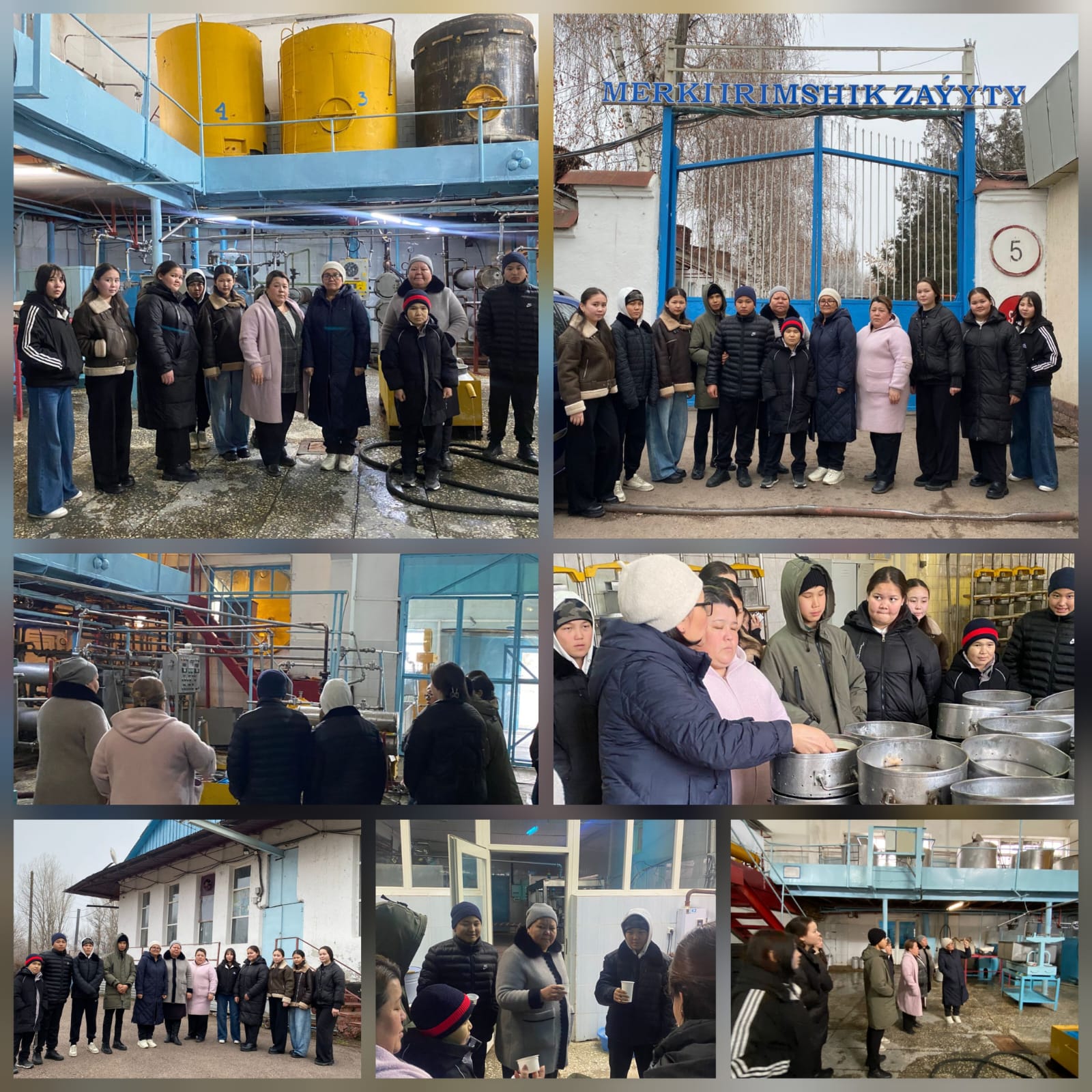 Меркі ірімшік зауытына экскурсия